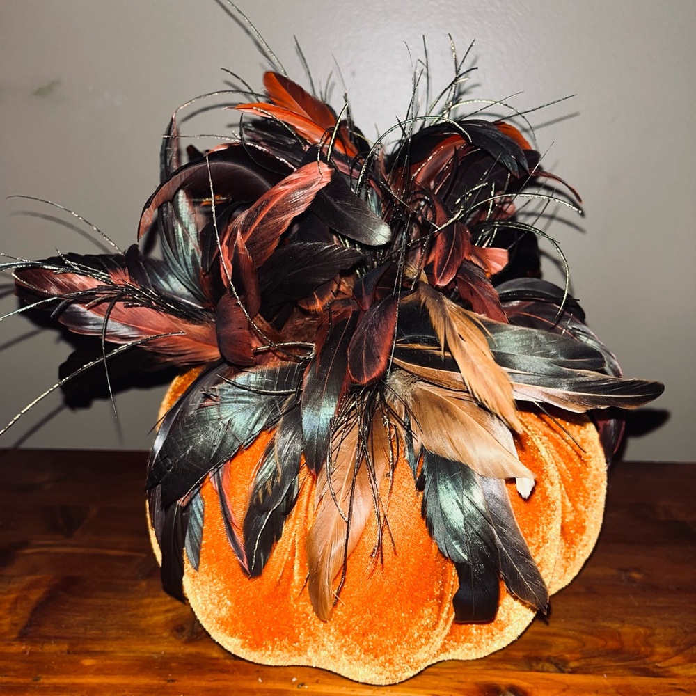 Velvet Pumpkin with Feather Accents